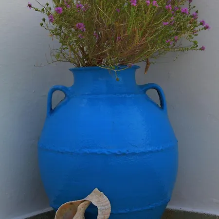 アパートホテル Violetta *